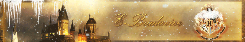 Logo - E-Bradavice Logo - E-Bradavice