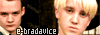 banner6