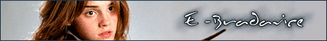 bannerbig
